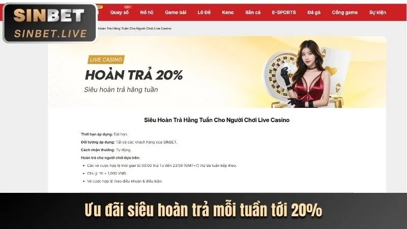 Ưu đãi khuyến mãi suncity bet